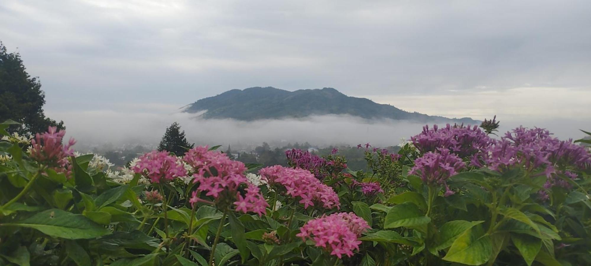 Homestay Chan Que Bao Loc Exterior foto